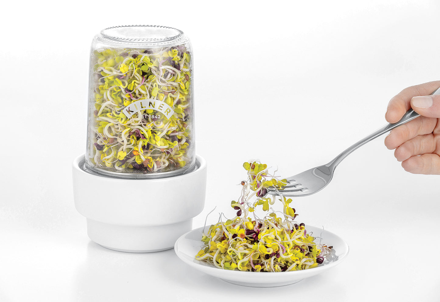 Sprossenglas Set 0,5l