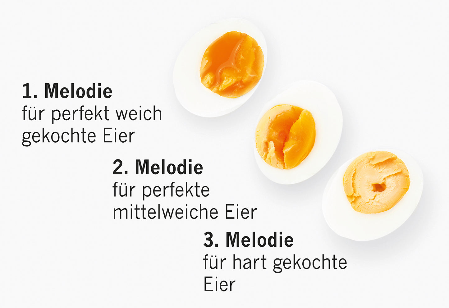 PiepEi Landei Muhkuh