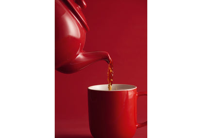 PRICE&KENSINGTON Teekanne mit Teesieb 1,1l 6 Tassen rot