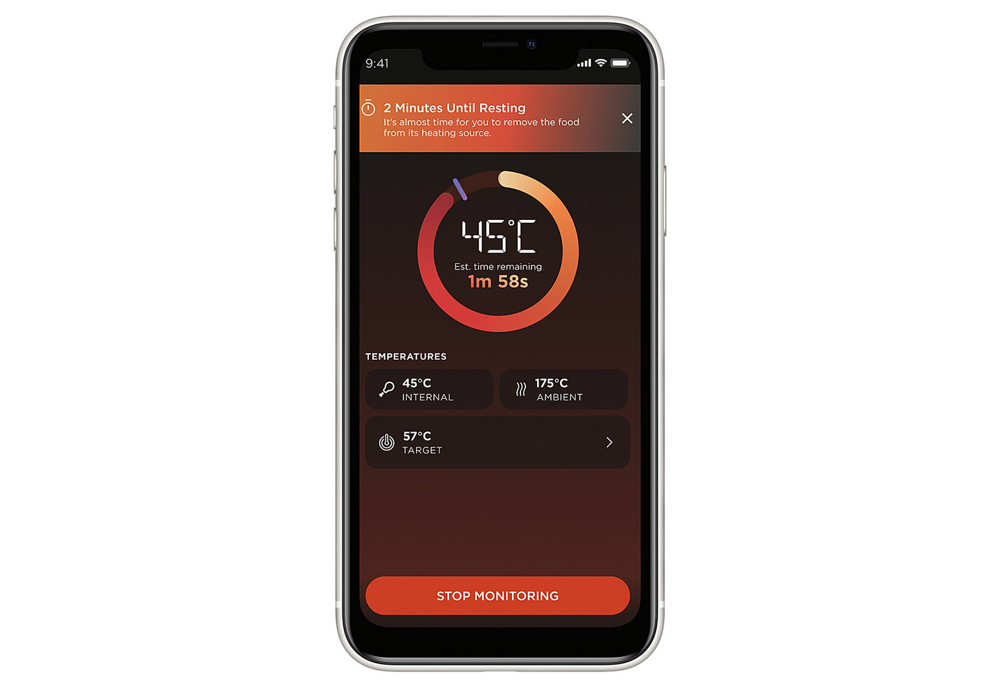 WP100EU Thermometer Pro Chef